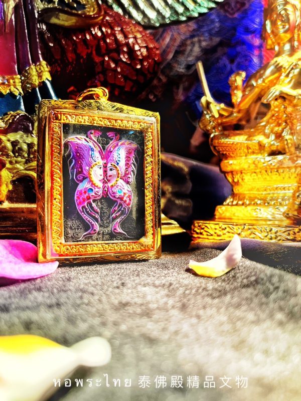 【蝶王 古巴吉士納正宗彩蝶王】