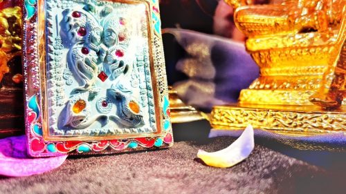 【蝶王古巴吉士納】