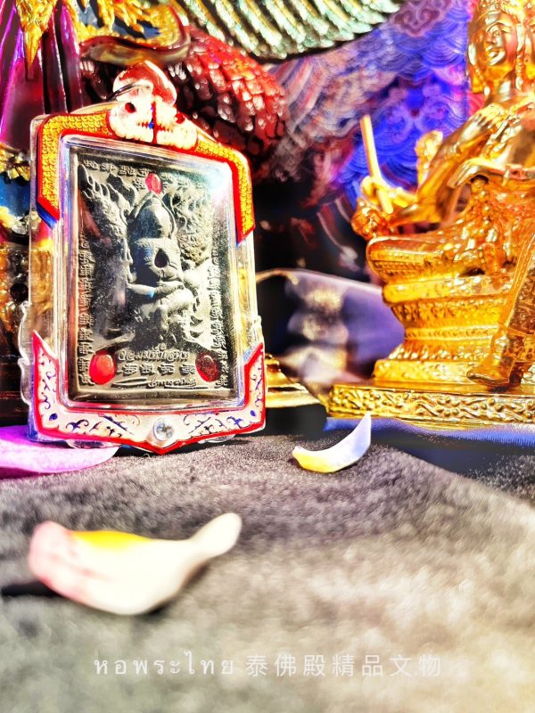 【蝶王古巴吉士納 黑粉坐天童】