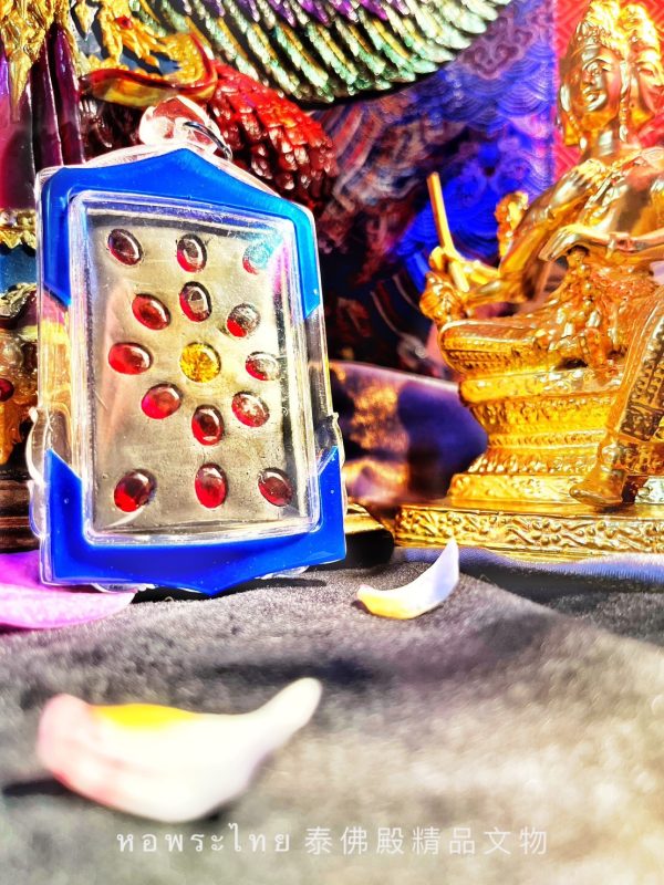 【蝶王古巴吉士納 黑粉坐天童】