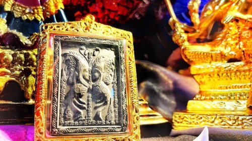 【蝶王古巴吉士納頂級夢蝶-蝶王】