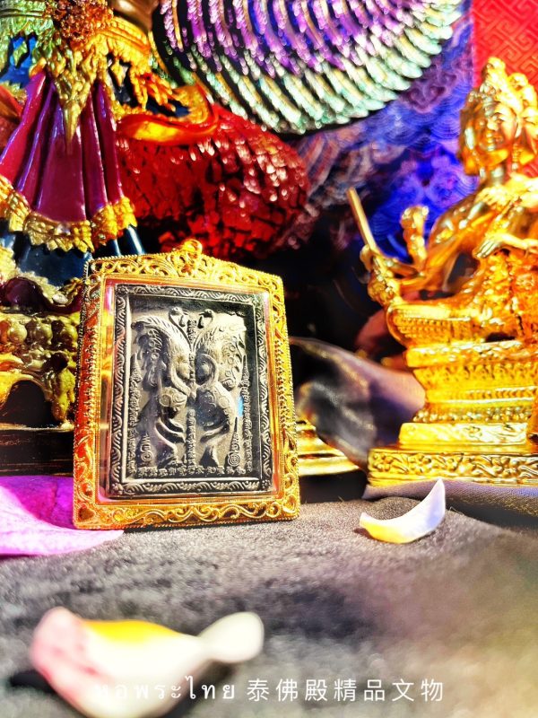 【蝶王古巴吉士納頂級夢蝶-蝶王】