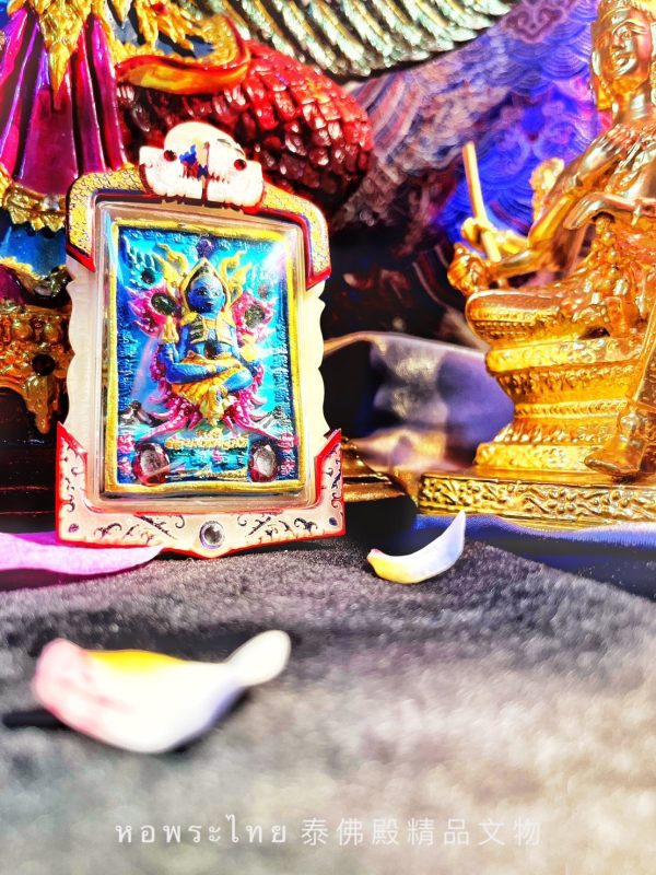 【蝶王-古巴吉士納 天童】