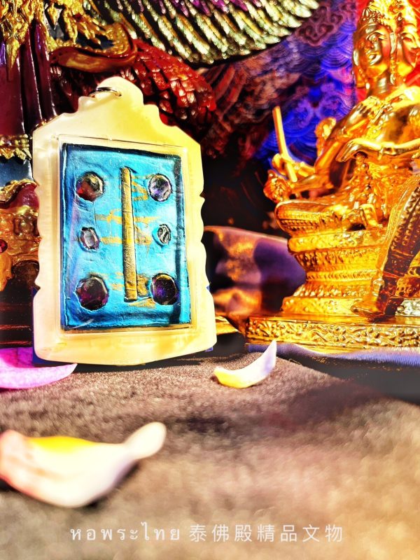 【蝶王-古巴吉士納 天童】